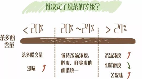 什么綠茶口味重口感濃郁，口味比較重的綠茶都有那些？