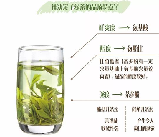 什么綠茶口味重口感濃郁，口味比較重的綠茶都有那些？