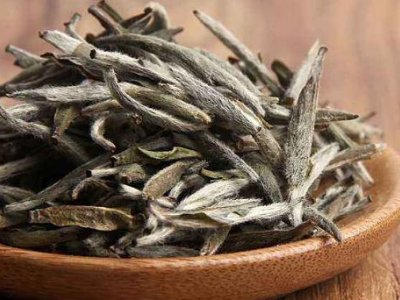 白茶有哪些品種排名，<a href=http://m.pnhxqw.com/fenlei/baicha/ target=_blank class=infotextkey>白茶的種類</a>大全