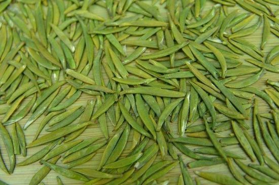 竹葉青和毛尖的區(qū)別，毛尖和竹葉青怎么分辨？