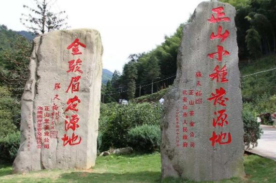 300塊錢的金駿眉能喝嗎，兩三百多金駿眉和一千多區(qū)別