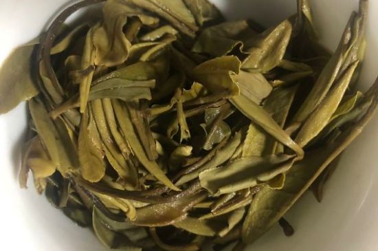 三年白茶賽砒霜，這是真的嗎？