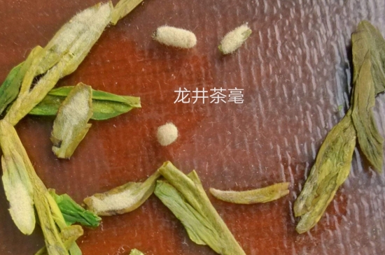 西湖龍井茶毫和發(fā)霉區(qū)別圖片，長霉的龍井茶葉會(huì)是什么樣？