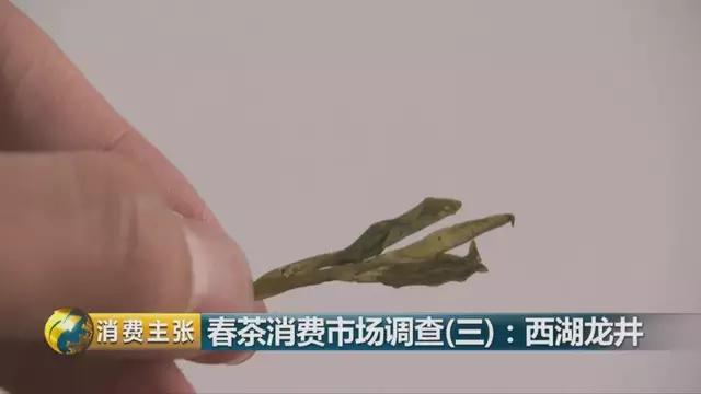 龍井群體種和43號的區(qū)別圖片，龍井43和群體種哪個(gè)好喝？