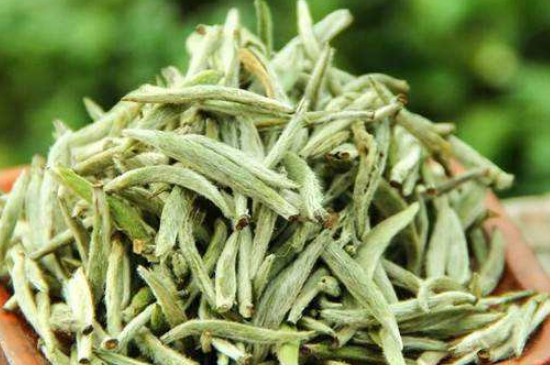 白毫銀針年份越久越好嗎，銀針白毫是否越陳越好