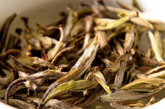 荒野銀針市場(chǎng)價(jià)多少，真正的荒野白毫銀針多少錢(qián)？