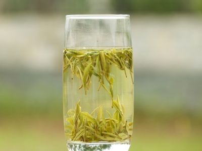 霍山黃芽算是好茶嗎，霍山黃芽屬于什么茶？
