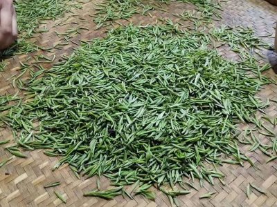 金駿眉幾年可以算陳茶，金駿眉新茶好還是老茶