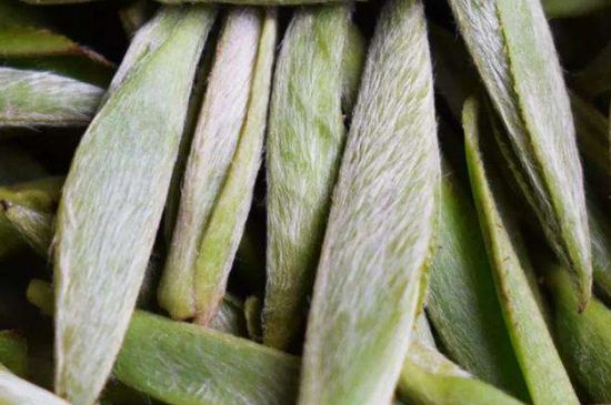 荒野銀針有什么特點(diǎn)，荒野銀針的味道口感咋樣？