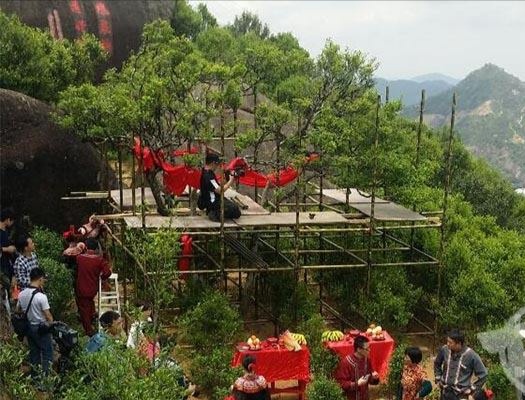 宋種一號價值為什么高，鳳凰單樅宋種1號價格與產(chǎn)量多少？