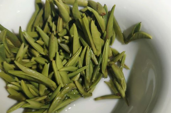 竹葉青茶怎么泡，竹葉青如何沖泡