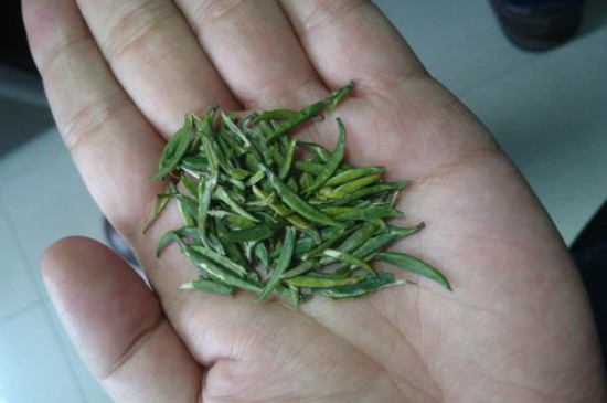 竹葉青茶怎么泡，竹葉青如何沖泡