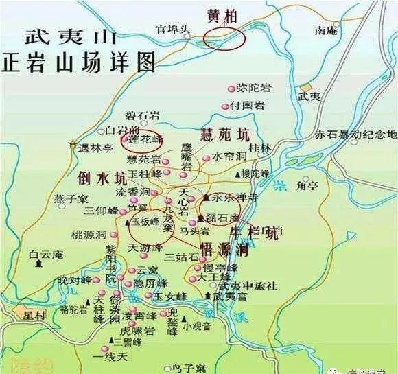 肉桂茶和大紅袍哪個貴，武夷山肉桂與大紅袍的價格比較